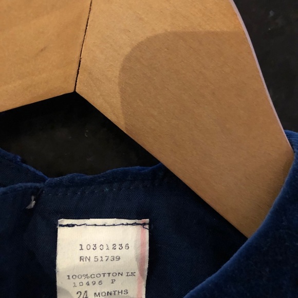 Blue velvet embroidered dress - Picture 2 of 3